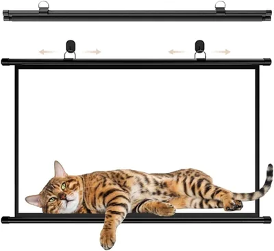 ZPIMPGMGUG Pull Down Projector Screen 60 Inch 4K Outdoor Home Cinema Best Deal