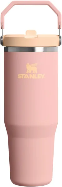 STANLEY IceFlow 2.0 Flip Straw Tumbler 30 oz Best Deal