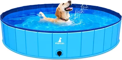 Pourbibi PVC Foldable Dog Pool 120L Best Deal