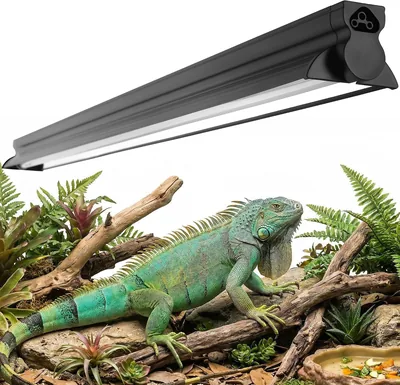 Eckpo T5 HO UVB Reptile Light Kit Best Deal