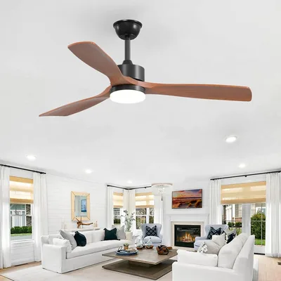 Ventilateur Passky avec Éclairage et Télécommande, 3 Palettes, Moteur DC, 52" (Diamètre), Noir - Meilleur Prix