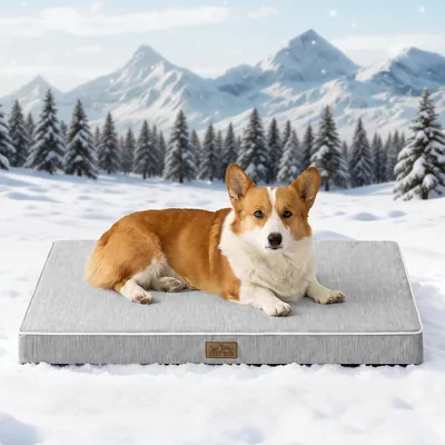 COZY KISS Cooling Dog Bed for Large Dogs - Best Deal