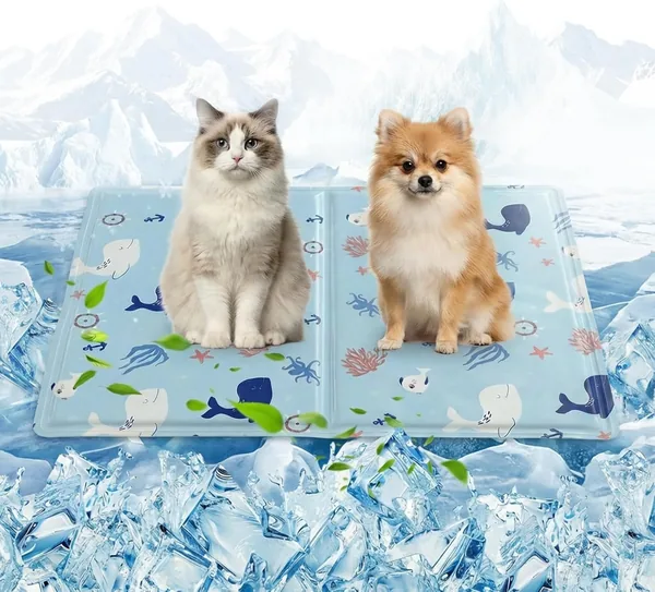 Mat de refroidissement Ninonly pour chiens, 50 x 65 cm, Gel non toxique, Imperméable et résistant aux rayures, Pour lit, voiture, canapé, marin