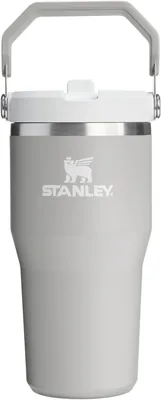 Stanley 1913 Ice Flow Flip Straw 2.0, 20oz Insulated Tumbler, Ash | Best Deal