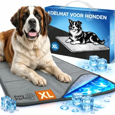 Pets Perfect Cooling mat - Koelmat voor Honden en Katten met Niet-toxisch Gel - XL/XXL