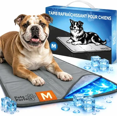 Mat de refroidissement pour chien Pets Perfect (M 50 x 60 cm) - Meilleure affaire