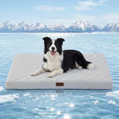ZOMISIA Cooling Dog Bed 36% Off