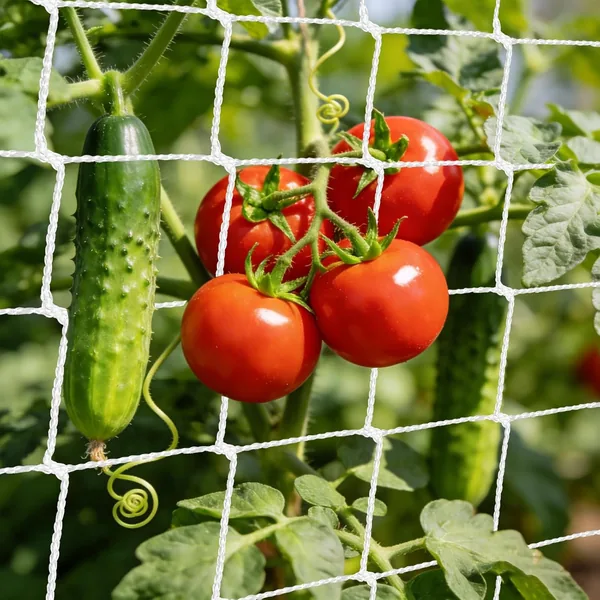 1.5 x 4.5 m Climbing Netting for Gardens and Vegetables