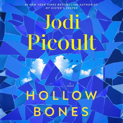 Jodi Picoult Novels