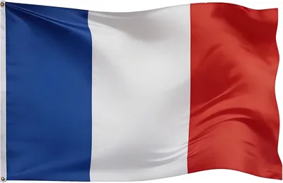 HOMAVEL Drapeau France 90 x 150 cm - Résistant en Polyester avec Oeillets en Laiton Double Face - Idéal pour les Matchs de Football et les Fans