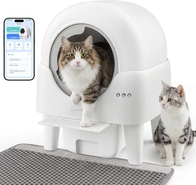 Cavrtbany Automatic Cat Litter Box Best Deal