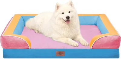 Comfort Expression Orthopedic Dog Bed Large 36x27, Waterproof Egg Crate Foam Pet Bed with Removable Bolster