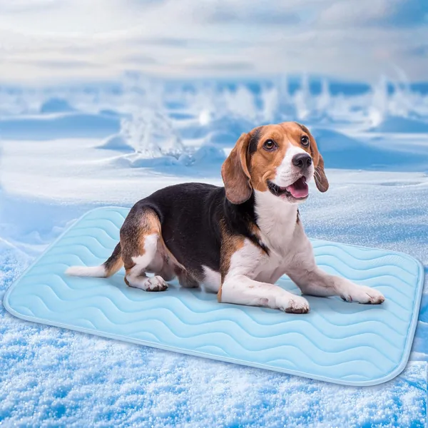 BaoDan Mat de Refroidissement pour Chiens et Chats, 75 x 50 cm, Tissu en Soie Glacée Respirant, Lavable, Durable, Idéal pour Animaux de Compagnie