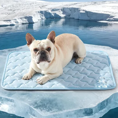 GASUR Cooling Mat for Dogs - Best Deal
