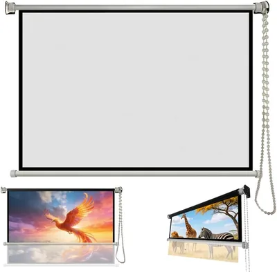 HJVLXYAFB Roll Down Projection Screen 30-60" HD Manual Pull Down - Best Deal
