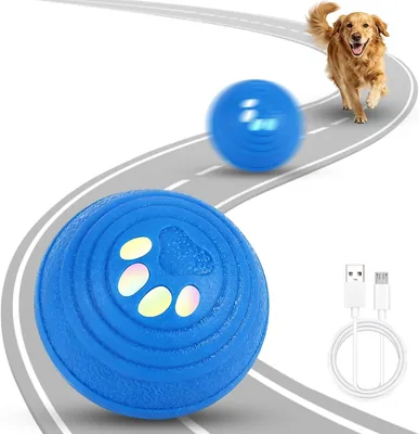 Chase Buddy Dog Toy Interactive Ball - 4 Sports Modes Best Deal