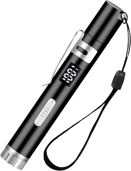 COWGOLDCHILD Interactive Chattoy pour Chat - Stylo électrique rechargeable USB avec LED - Formation intérieure pour chat