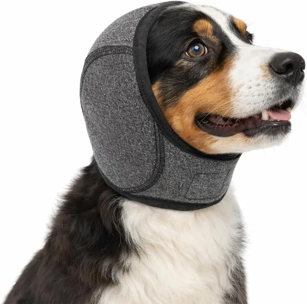 Protección auditiva para perros con cancelación de ruido, impermeable, mejor oferta