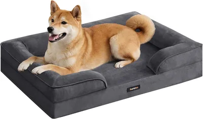 Feandrea Blomfy PGW322GN01 Letto per Cani Orthopedico in Flanella con Bordi Elevati, 35 x 63 x 16 cm, 1 Pezzo, Grigio Scuro | BLOMFY PGW322 - Miglior Affare