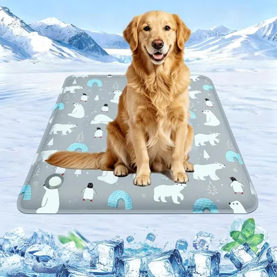 Koelmat voor Honden en Katten - Zelfkoelende Mat voor Huisdieren met Niet-toxisch Koelgel