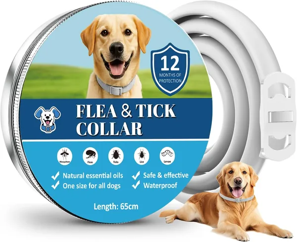 Collar Antiparasitario para Perros - 12 Meses de Protección - Con Aceites Esenciales