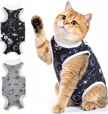 Avont Cat Recovery Suit Space(M) Best Deal
