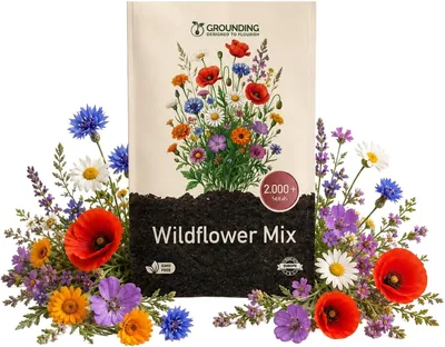 Förbättrad odling - Wildflower-mix av blommor, 2000+ samlar - Giver rustik tärn, attraherar bestämdare (flicka & flidna)