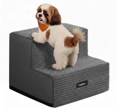 Escaleras para Perros Pequeños Feandrea, 2 Peldaños de Espuma | Funda Lavable, 30 x 38 x 28 cm, Gris, Colección BA
