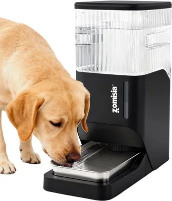 ZOMISIA Automatic Dog Water Dispenser 11L Best Deal