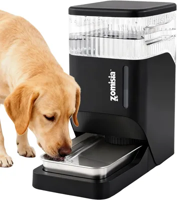 ZOMISIA Automatic Dog Water Dispenser 8L - Best Deal