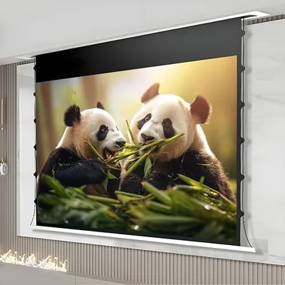 Motorized Projector Screen - Best Deal