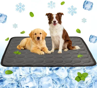 ALKNOT Tapis rafraîchissant pour chien 100 x 70 cm, auto-rafraîchissant, pour l'été, maison