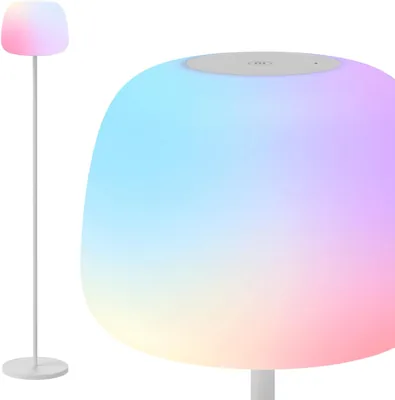 Govee Lantern Floor Lamp, Smart RGBICWW with Silicone Shade, Best Deal