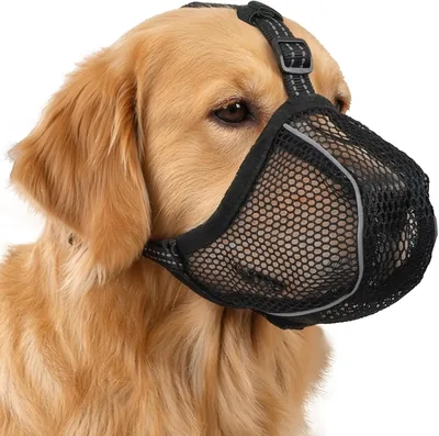 Kaganiec AUAUY dla psa odblaskowy regulowany dla małych średnich i dużych psów oddychający, Best Deal