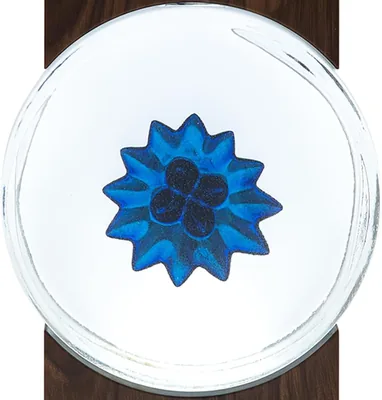 FerFluiX 磁性流体ボトル、音楽リズムライト用アクセサリー (120ml) (青) - Best Deal