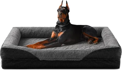 Lit pour chien FURTIME grand format, 48 x 35 cm | Lit orthopédique avec couverture amovible et doublure imperméable en mousse mémoire anti-dérapante