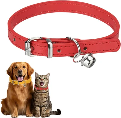 Quarkzman Dog Collar, Red