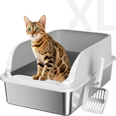 Stainless Steel Cat Litter Box XL with Lid Best Deal