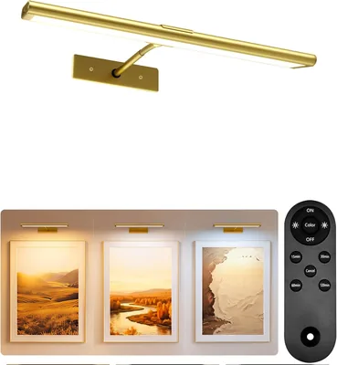 EZVALO Picture Light Best Deal