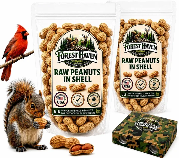 Forest Haven Premium Raw Peanuts for Squirrels - 10LB Bulk Squirrel Food - Unsalted Peanuts in Shell for Birds, Deer & Wildlife