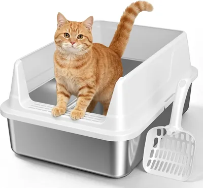 Stainless Steel Cat Litter Box Best Deal