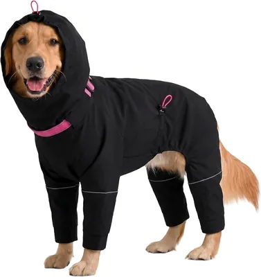 Kuoser Dog Waterproof Raincoat Black 2XL Best Deal