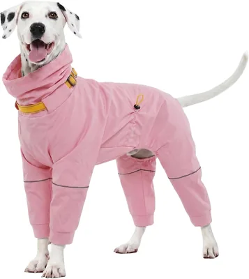 Kuoser Dog Rain Coat Jacket Pink M Best Deal