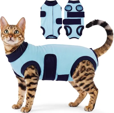 Kuoser Cat Recovery Suit Blue Best Deal
