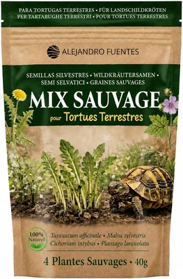 AF® - Graines de Tortue Terrestre pour Semis - Mélange de 4 Plantes Sauvages | Dandelion, Pourpre, Chicorée, Plantain | Hermann Terre