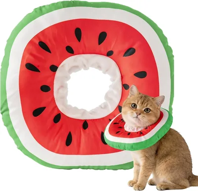 Soft Adjustable Cat Cone - Recovery Collar for Cats 3.5-7.5kg Best Deal