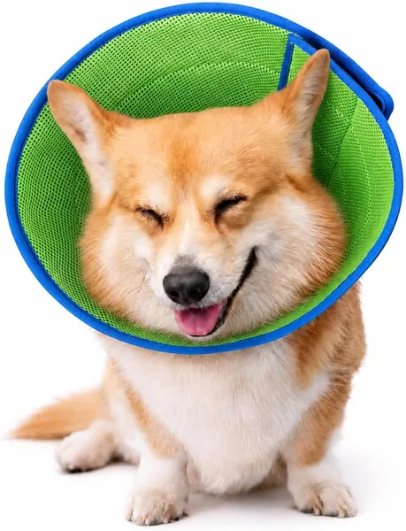 Soft Dog Cone Collar to Stop Licking After Surgery, Comfy Dog Cone Alternative for Large Medium Small Dogs/Cats, Adjustable Washable E-Collar for Spay Neuter Recovery and Neck Prot