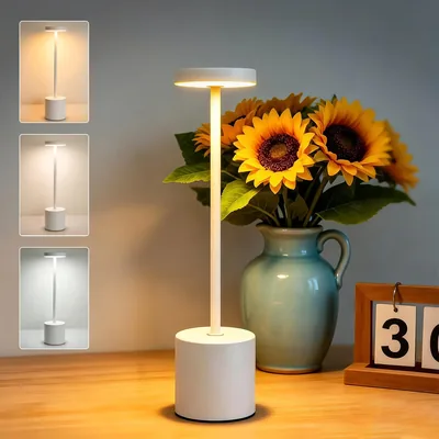 LED Table Lamp USB Rechargeable Dimmable Touch Control Best Deal