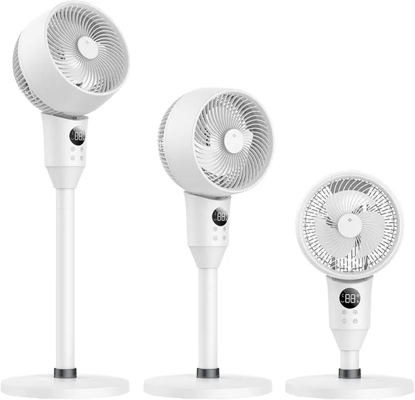 Circulator 2026 Fan