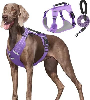 Una Mascota Pechera Arnés de Seguridad para Perro Chico, Mediano y Grande con Correa 1.5m (Morado, XL) - 12% Descuento